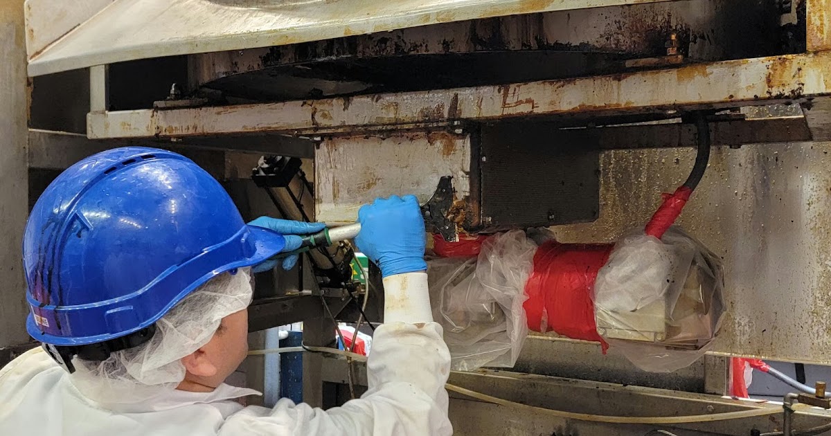 Professional Upholstery Cleaner: What Local Services Actually Do