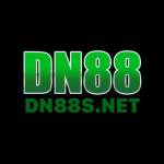 Dn88s Net