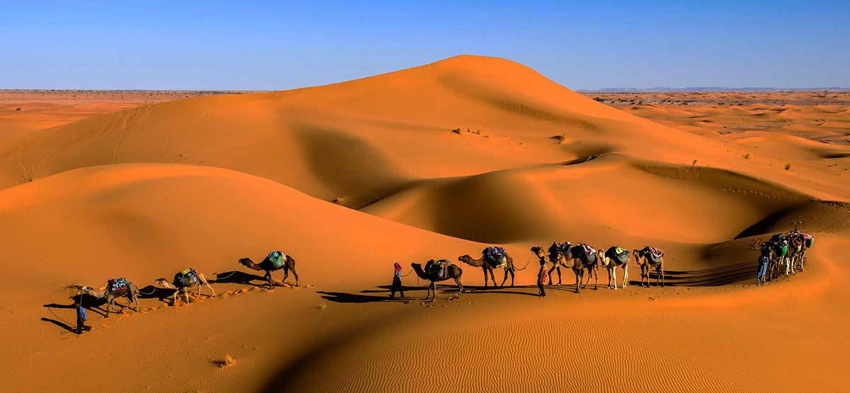 Morocco Desert Tours: Sahara Camel Treks & Luxury Camps