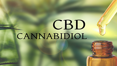 CBD Education Course | CBD Classes | CBD Side Effects | CBD Metabolism | CBD Drug Interactions | Endocannabinoid System
