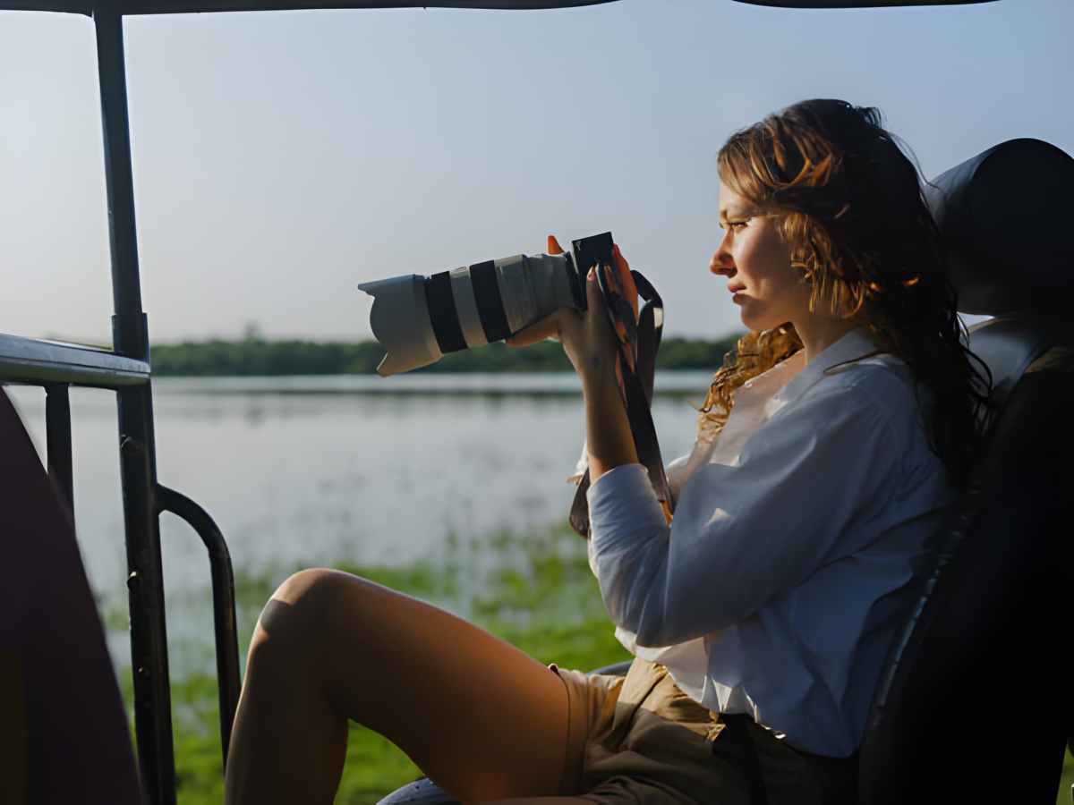 Which Is the Best Place to Go for India Safari Tours? – India Safaris
