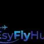 Esyfly Hub
