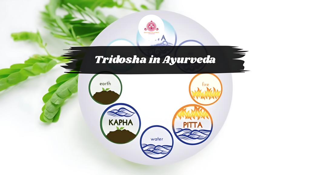 Tridosha in Ayurveda Types of 3 Dosha Vata, Pitta, and Kapha
