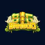 Big Bamboo Slot Netherlands