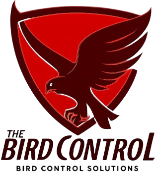 Bird Control Dubai | Pigeon Net Installation UAE