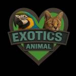 Exotics Animals