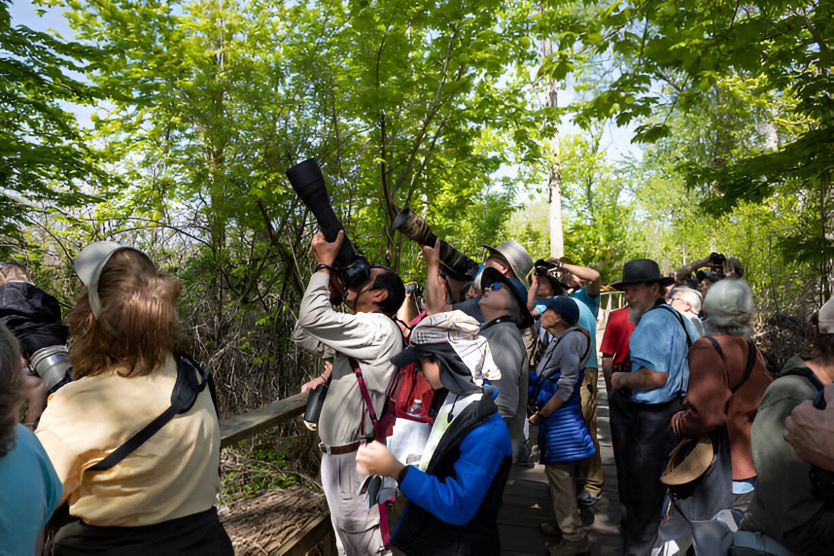 Which Is the Best Bird Sanctuary in India? A Complete Guide for Bird Lovers in 2026 – India Safaris