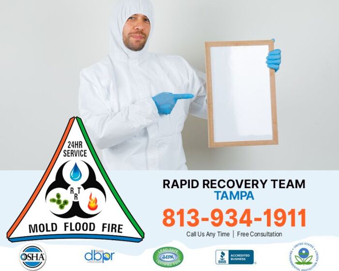 Mold Inspection Tips: Protect Your Family and Property Today |...