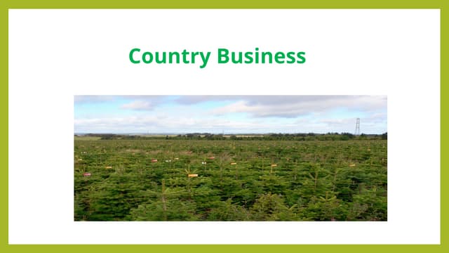 Trusted Bulk Christmas Trees Supplier UK for Retailers & Events | PPTX