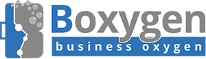 Best Web Development Agency - Boxygen