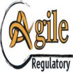 Agile Regulatory