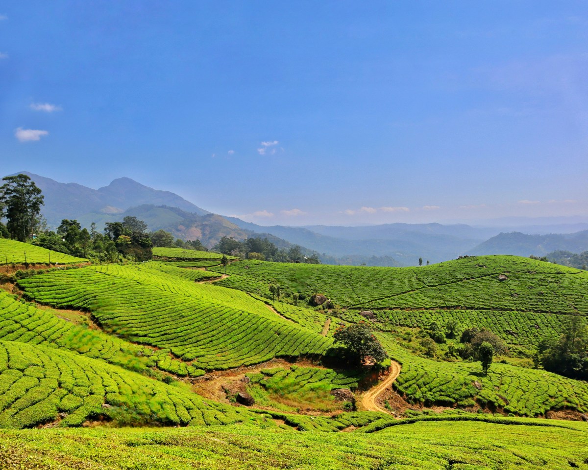 Trails & Treks in Kerala for 2026: The Ultimate Guide to Nature, Luxury & Slow Adventure – Trans India Holiday – Best Value Tours in India