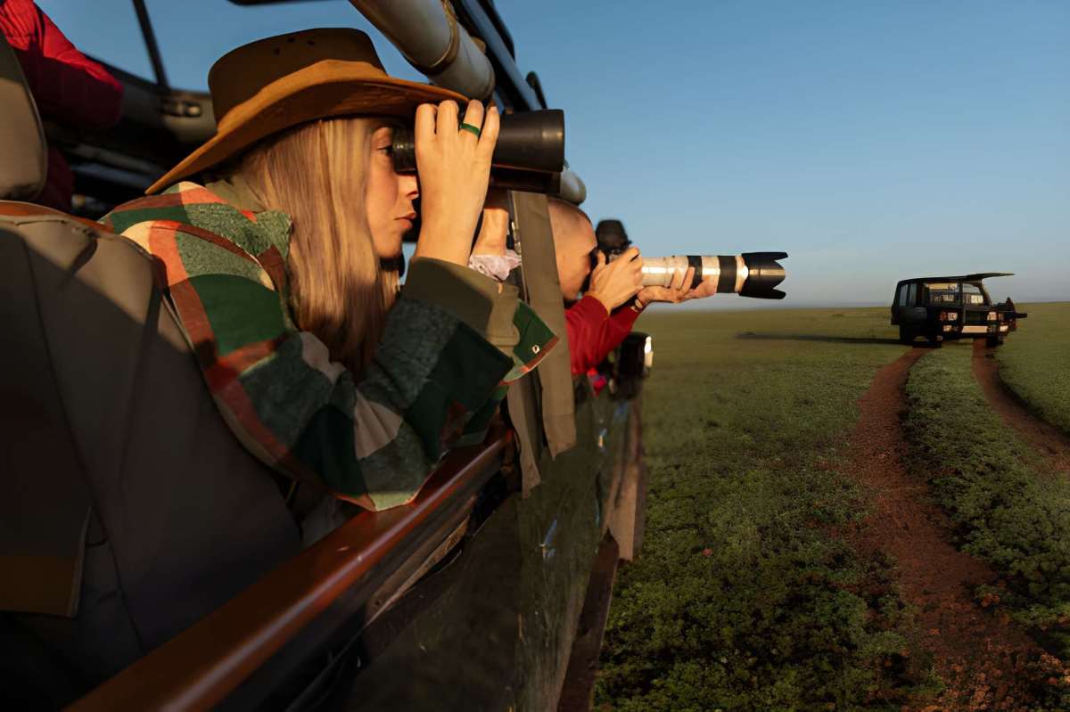 What to Expect on a Luxury Wildlife Safari in India in 2026? Let’s Explore – India Safaris