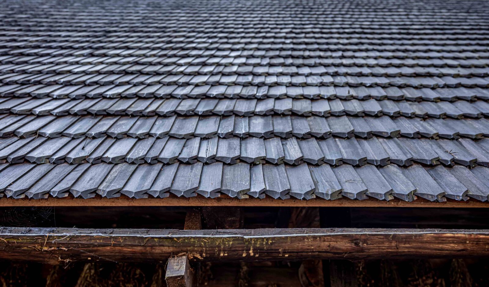 Biocide Treatment After Roof Cleaning: Prevent Moss & Algae Regrowth
