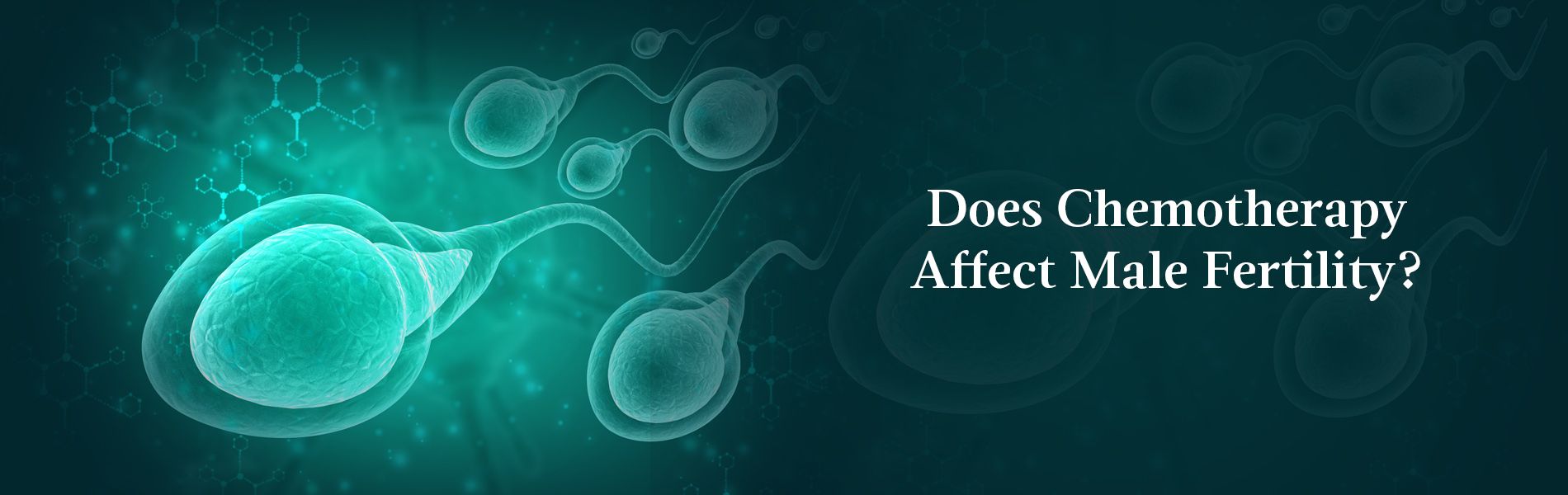 The Effects of Chemotherapy On Sperm Health & Male Fertility