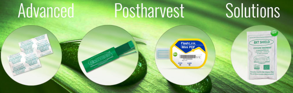 How BXT Shield and Ethylene Absorbing Solutions from BioXTEND Keep Fresh Produce Fresher, Longer. – Bioxtend