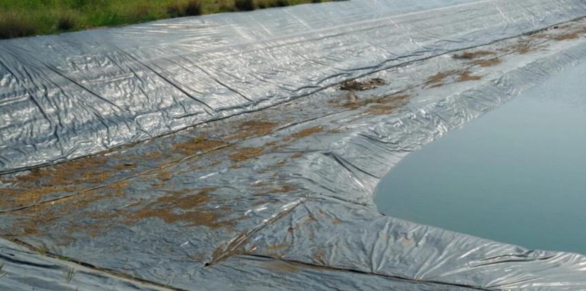 Can Pond Liners Freeze? What Happens to Different Liner Materials in Winter | daddycow.com