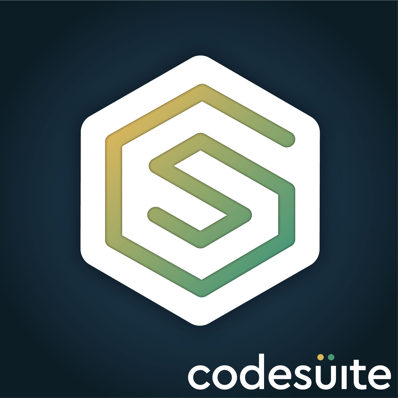 Professional Application Re-Engineering Services - CodeSuite
