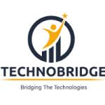 techno bridge