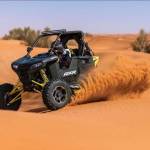 desert Buggy