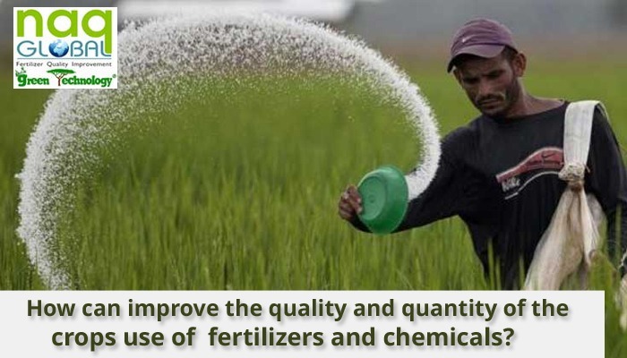 How Can Improve the Quality And Quantity of the Crops Use of Fertilizers and Chemicals? – NAQ GLOBAL
