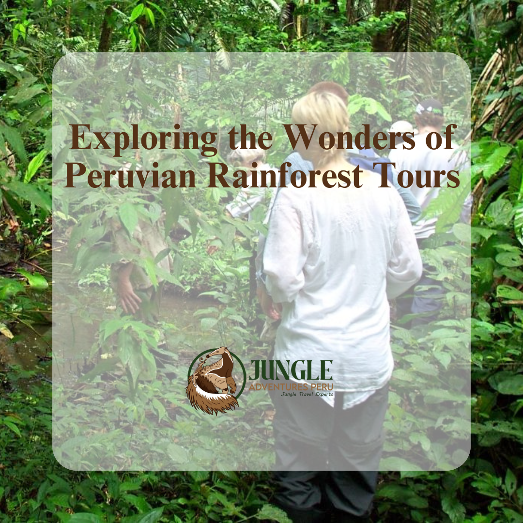 Exploring the Wonders of Peruvian Rainforest Tours - Jungle Adventures Peru