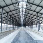 Real Steel Buildings