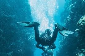 Scuba Coiba – Discover the Best Diving in Panama with True Ocean Experts – @scubacoiba on Tumblr