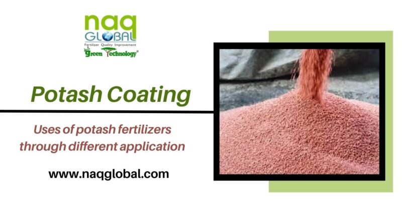 Potash Coating: Uses of Potash Fertilizers Through Different Application | NAQ Global