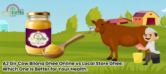 A2 Gir Cow Bilona Ghee Online vs Local: Health Guide