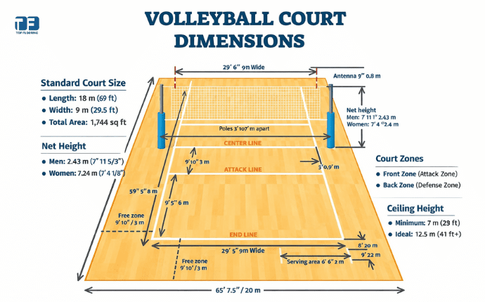 Volleyball Court Measurement Guide: Dimensions, Size & Construction Standards