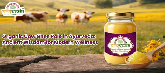 Organic Cow Ghee Role in Ayurveda for Daily Wellness