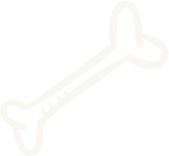 Abbotsford Vet | McCallum Centre Animal Hospital