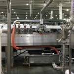 patrickholmespainting