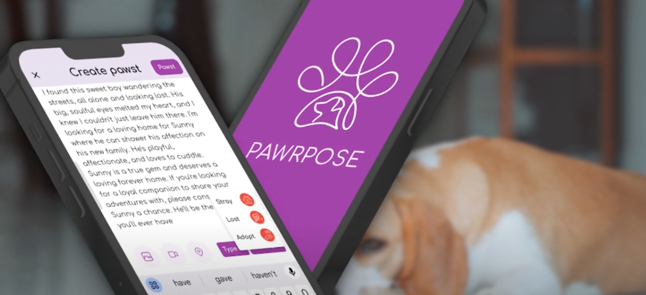 Animal Rescue Alerts | Save Stray & Lost Pets with Pawrpose
