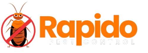Rapido Home - The Best Pest Control Services in UK