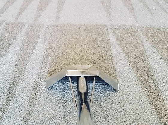 Carpet Cleaning Purfleet RM19 | 21 000+ Positive Reviews