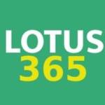 Lotus 365