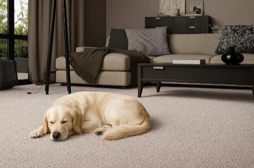 S&R Carpets Takes Flooring Nationwide with Carpets Online Launch | UK Times