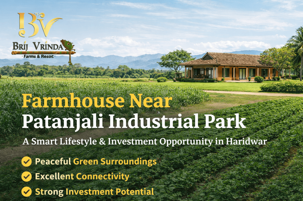 Smart Investment Guide: Agriculture Land for Sale Near Patanjali Industrial Park - Rutherford Voice