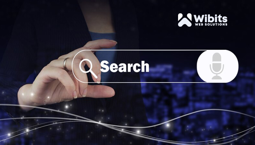 Best Web Development And Digital Marketing Company | Wibits Web Solutions