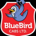 Bluebird Cabs Ltd