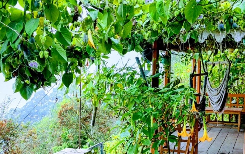 Luxury Meets Nature: Mountain Valley View Rooms Kodaikanal in One of the Best Resorts in Kodaikanal