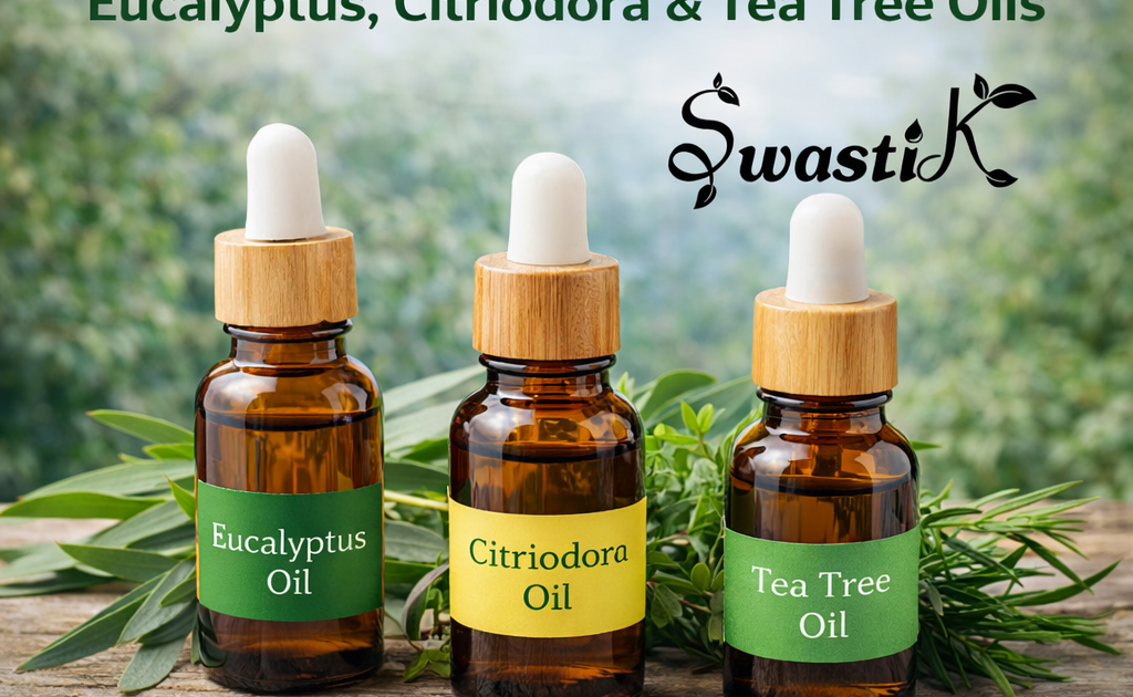 Best Scalp Oil for Hair Growth – Natural Care by Swastik Eucalyptus