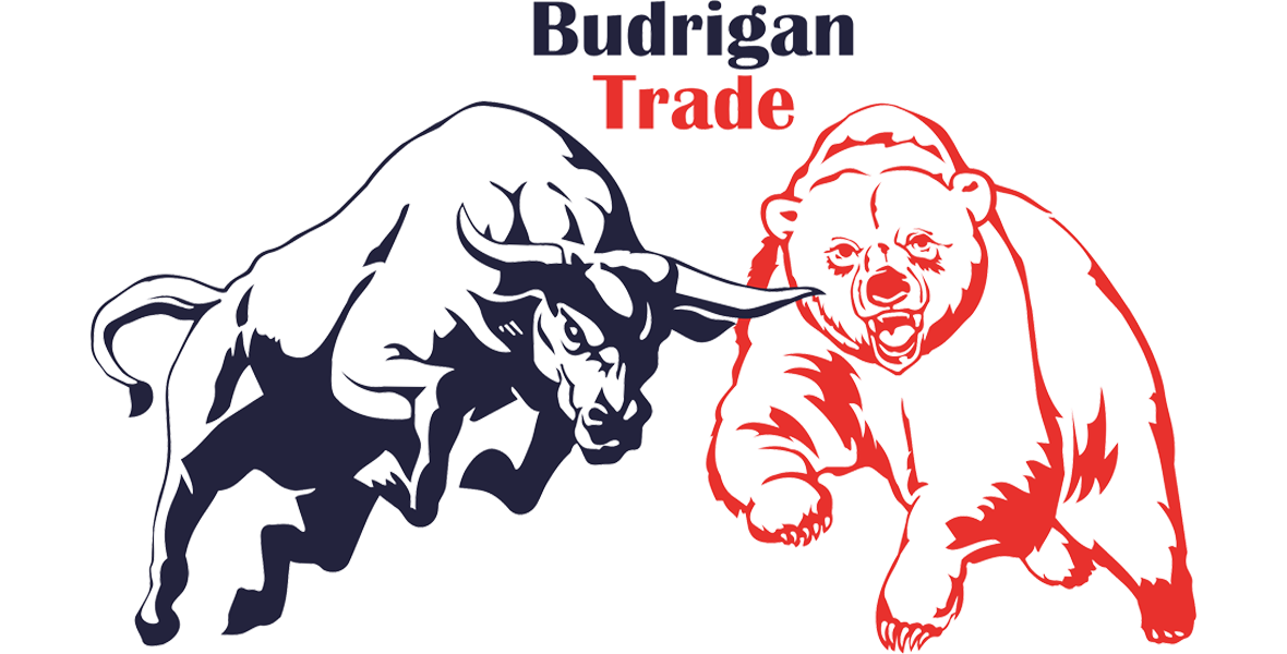 Budrigantrade - Home