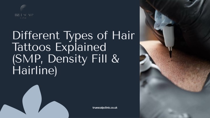 PPT - Different Types of Hair Tattoos Explained (SMP, Density Fill & Hairline) PowerPoint Presentation - ID:14791511