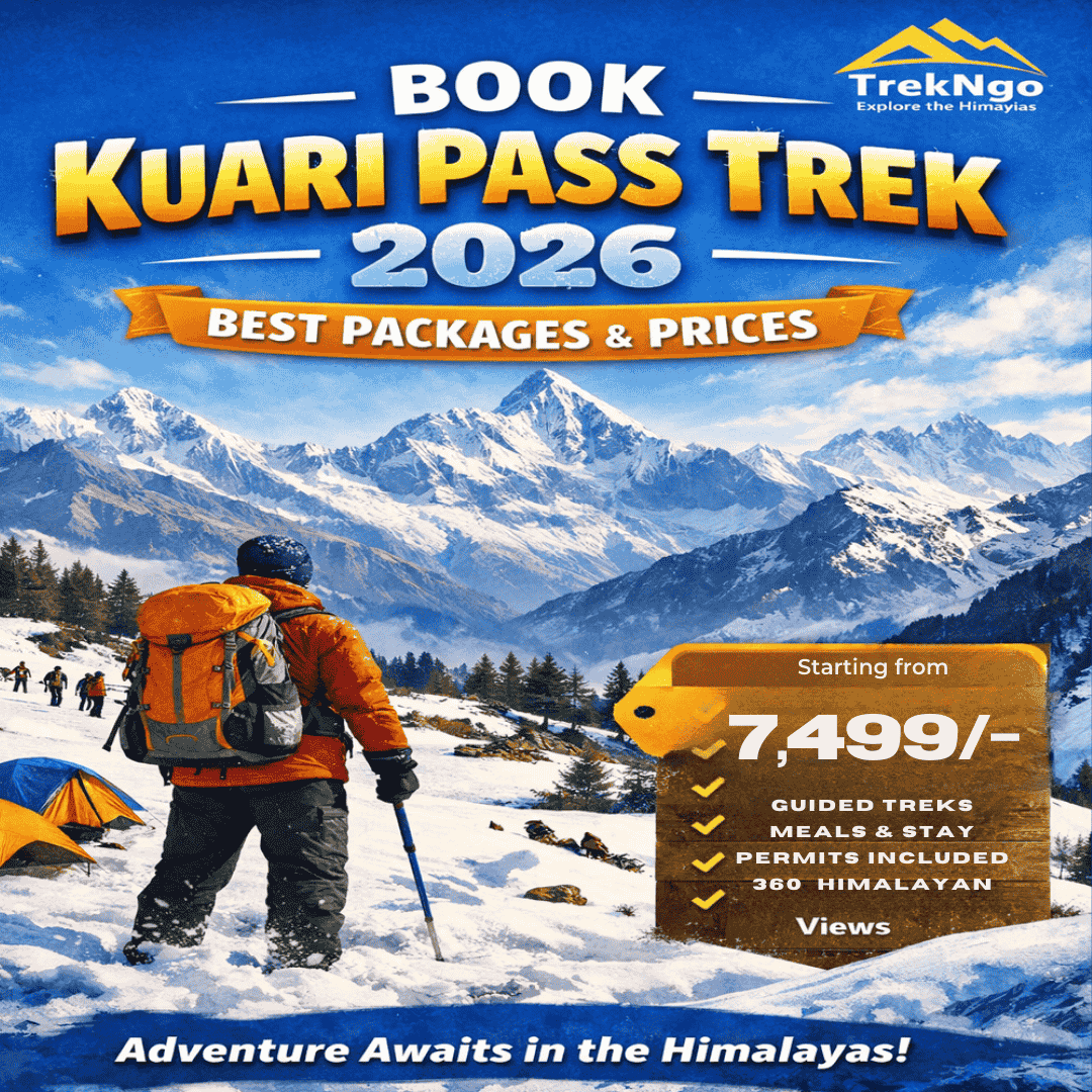Book Kuari Pass Trek 2026 – Best Packages & Prices – Book Trekngo