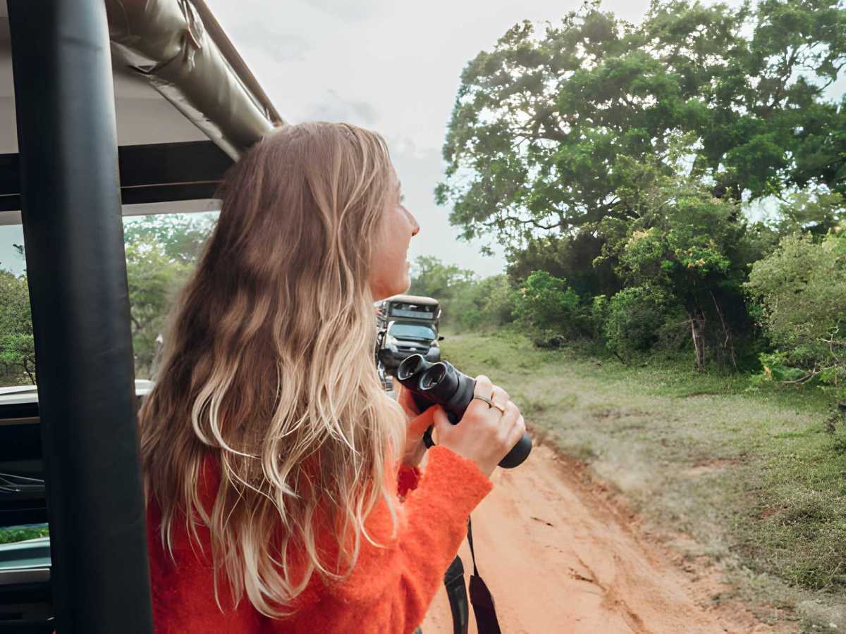 India Wildlife Holidays: The Ultimate Guide to Exploring Nature’s Wonders – India Safaris