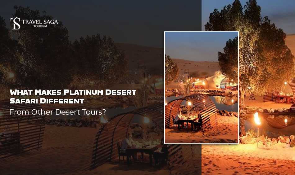 What Makes Platinum Desert Safari Different from Other Desert Tours? – Elite Safari Dubai