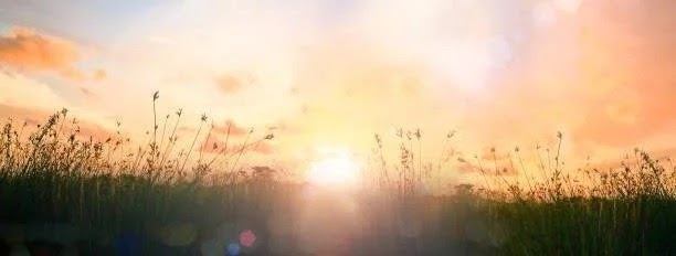 Finding Support with an East Asian Therapist in NYC